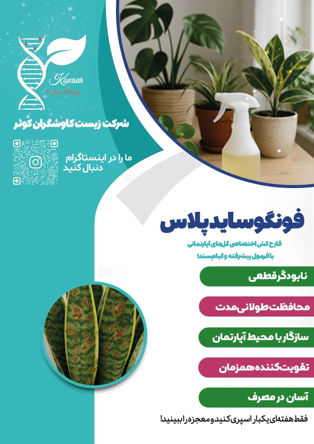 پوستر معرفی فونگوساید پلاس