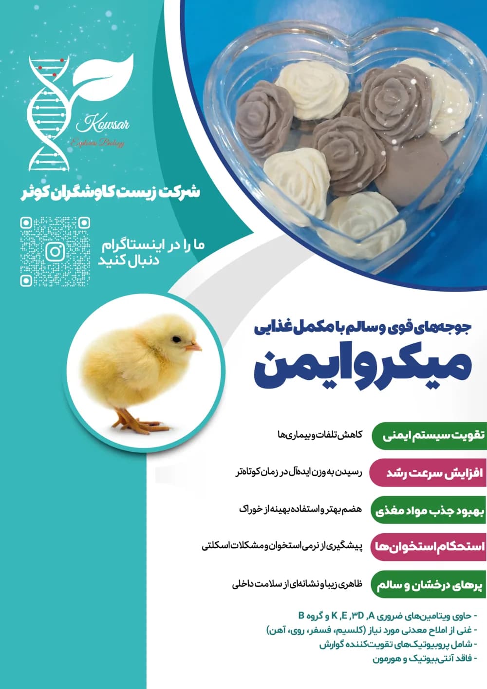 پوستر معرفی میکروایمن